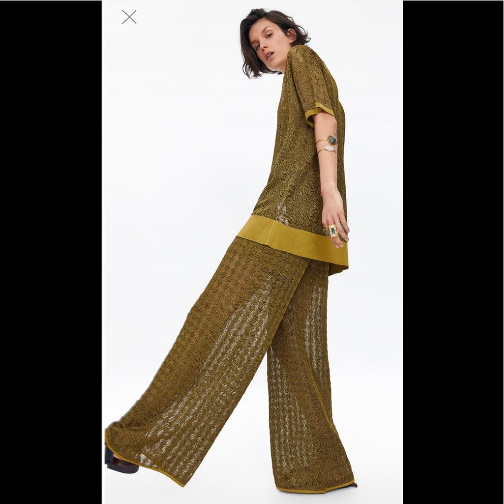 Zara Sheer Gold Knit Pants